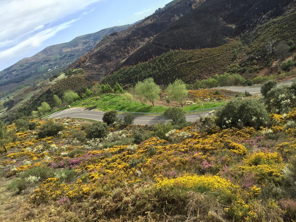 Alojamiento En Entorno Rural Los Trobos Villar de Otero Exteriér fotografie