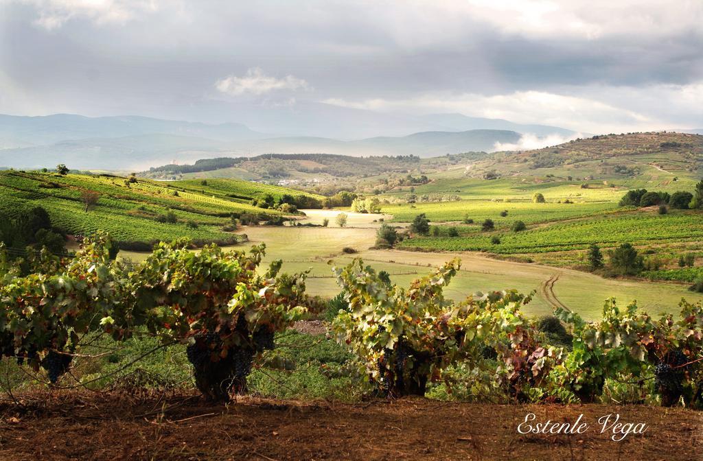 Alojamiento En Entorno Rural Los Trobos Villar de Otero Exteriér fotografie